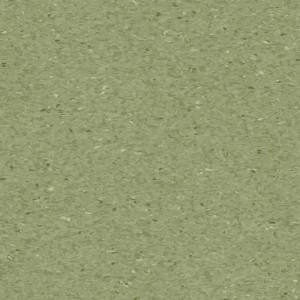 Линолеум Granit FERN 0405